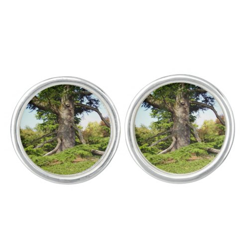 Cedar_of_Lebanon Tree Cufflinks