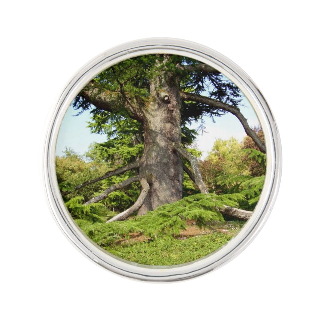 Cedar-of-Lebanon Tree Lapel Pin (Front)