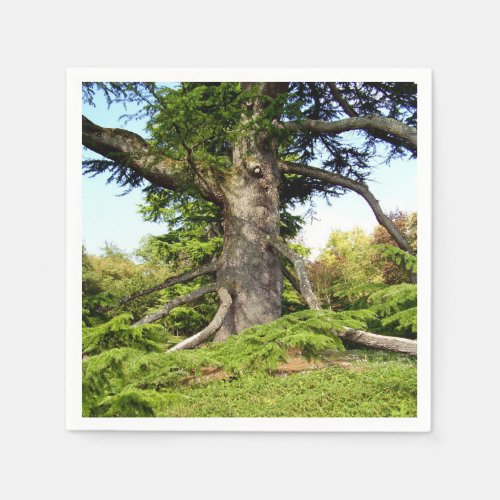 Cedar_of_Lebanon Tree Paper Napkins