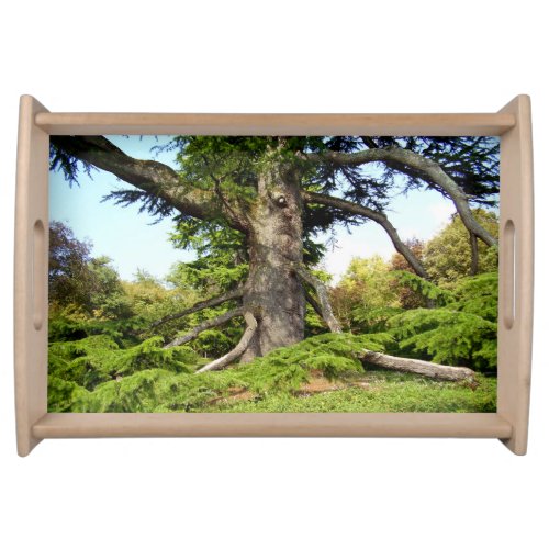 Cedar_of_Lebanon Tree Serving Tray