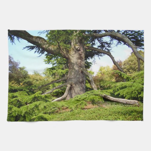 Cedar_of_Lebanon Tree Tea Towel