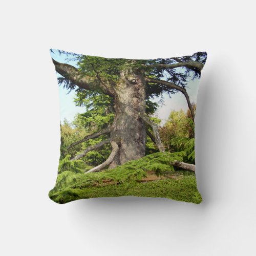 Cedar_of_Lebanon Tree Throw Cushion