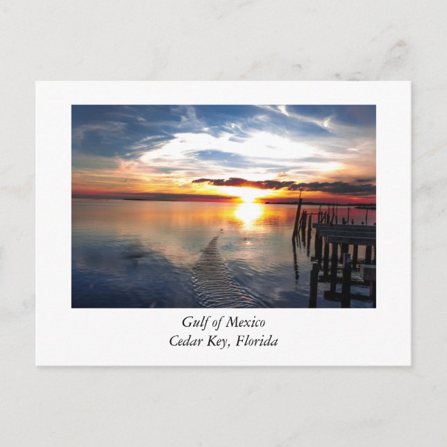 Cedar Point Florida Postcard (Front)