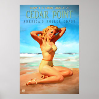 Cedar Point Ohio New Retro Pinup Travel Poster
