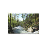 Cedar Run at White Oak Canyon Canvas Print
