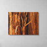 Cedar Textured Wooden Bark Look Canvas Print