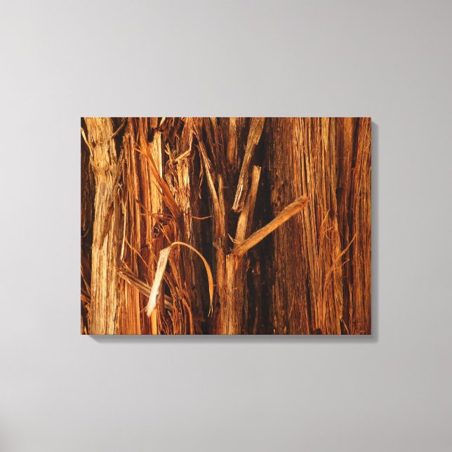 Cedar Textured Wooden Bark Look Canvas Print (Front)