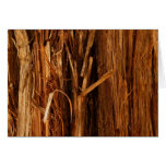 Cedar Textured Wooden Bark Look Cards