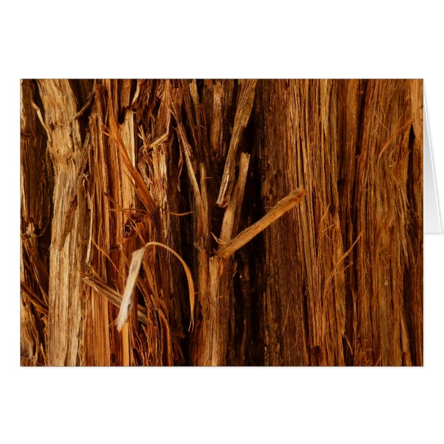 Cedar Textured Wooden Bark Look Cards (Front Horizontal)