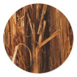 Cedar Textured Wooden Bark Look Classic Round Sticker