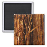 Cedar Textured Wooden Bark Look Magnet