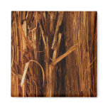Cedar Textured Wooden Bark Look Magnet