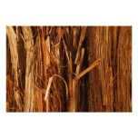 Cedar Textured Wooden Bark Look Photo Print