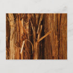 Cedar Textured Wooden Bark Look Postcard