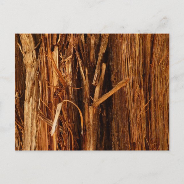 Cedar Textured Wooden Bark Look Postcard (Front)