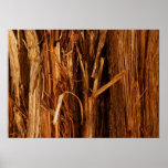Cedar Textured Wooden Bark Look Poster