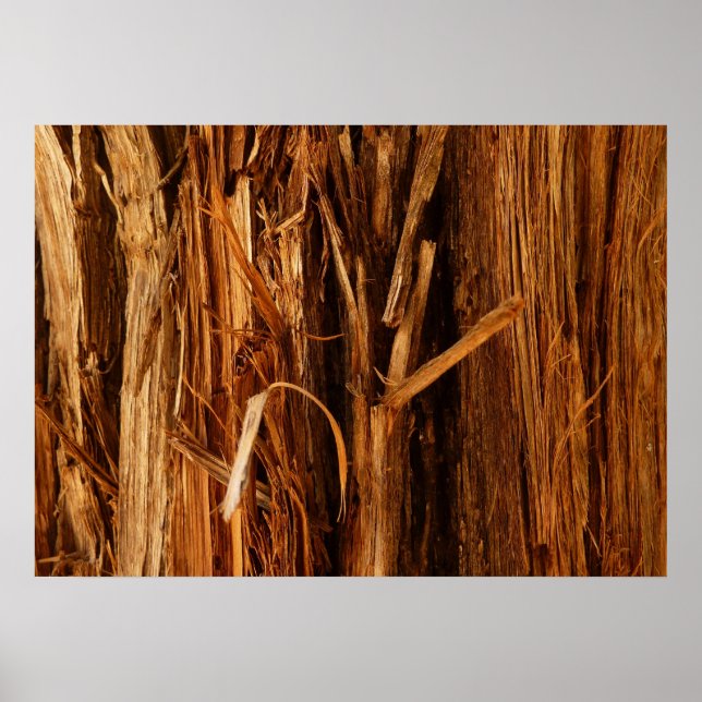 Cedar Textured Wooden Bark Look Poster (Front)