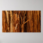 Cedar Textured Wooden Bark Look Poster