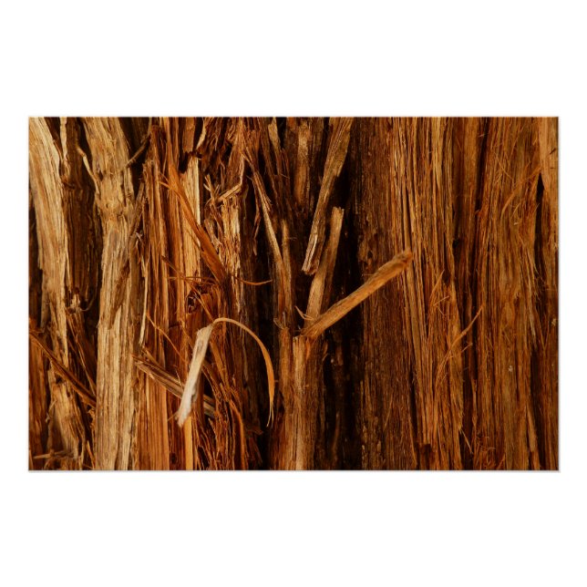 Cedar Textured Wooden Bark Look Poster (Front)