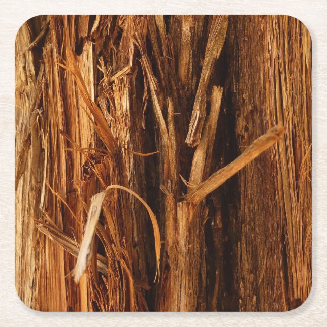 Cedar Textured Wooden Bark Look Square Paper Coaster (Front)
