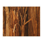 Cedar Textured Wooden Bark Look Wood Wall Art