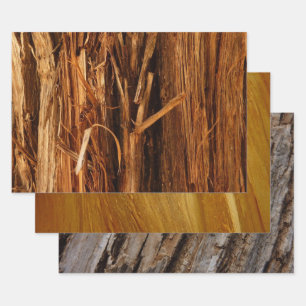 Cedar Textured Wooden Bark Look Wrapping Paper Sheets