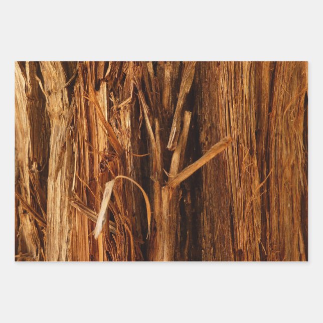 Cedar Textured Wooden Bark Look Wrapping Paper Sheets (Front)