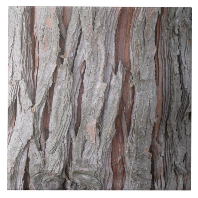 Cedar tree bark texture ceramic tile (Front)
