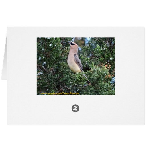 Cedar Tree & Waxwing (Back Horizontal)