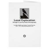 Cedar Waxwing (Back)