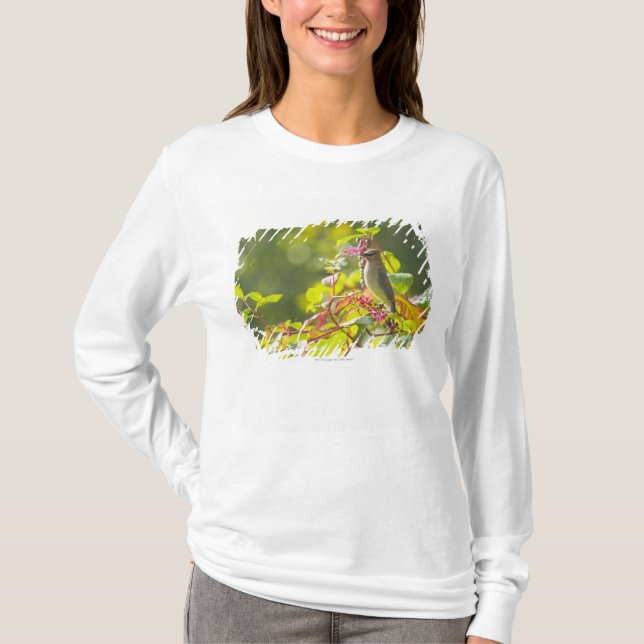 Cedar Waxwing  And Poke Berries On A Tree T-Shirt (Front)