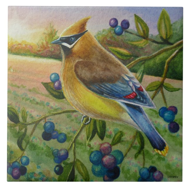 Cedar Waxwing Bird Blueberry Farm Watercolor Art Ceramic Tile (Front)