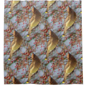 Cedar Waxwing Bird Nature Pattern  Shower Curtain