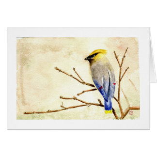 Cedar Waxwing Cards