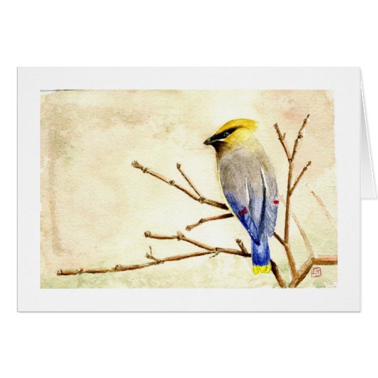 Cedar Waxwing Cards (Front Horizontal)
