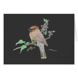 Cedar Waxwing Cards