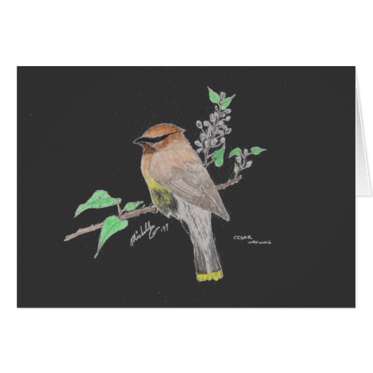 Cedar Waxwing Cards (Front Horizontal)