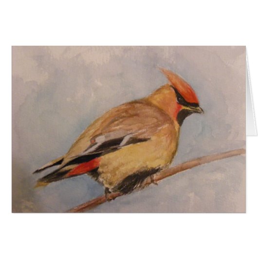 Cedar Waxwing Cards (Front Horizontal)