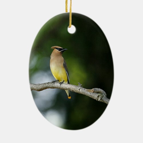 Cedar Waxwing Ceramic Ornament