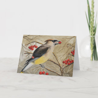 Cedar Waxwing Eating Berries Greeting Card
