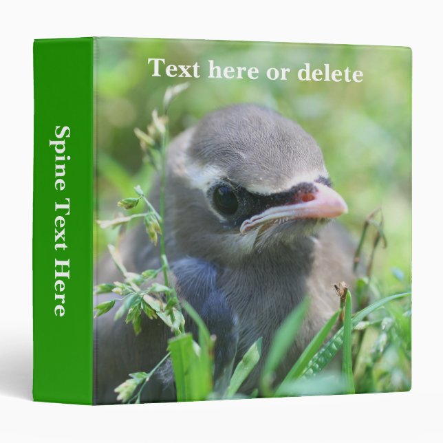 Cedar Waxwing Fledgling Bird Personalized 3 Ring Binder (Front/Spine)