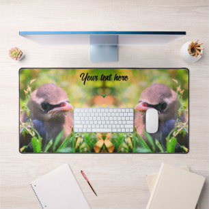 Cedar Waxwing Fledgling Bird Personalized Desk Mat