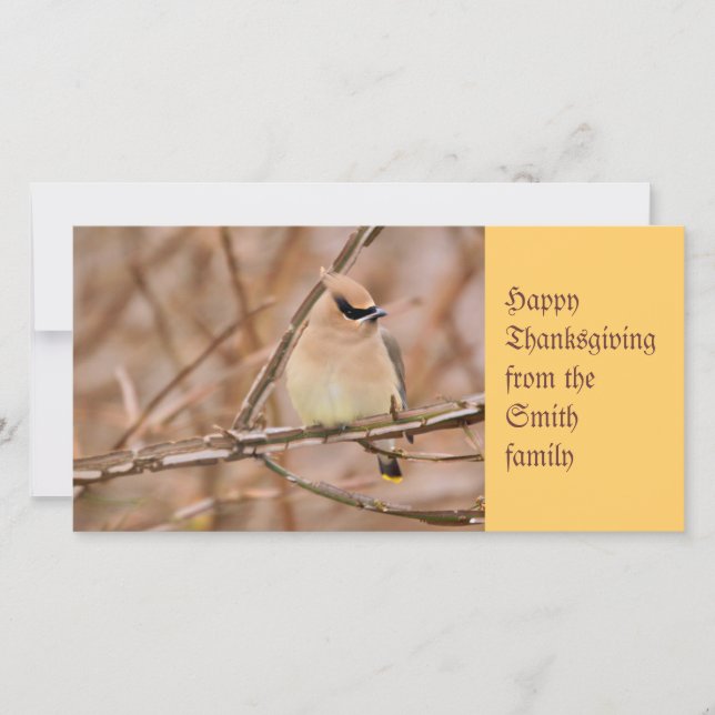 Cedar Waxwing in Autumn Holiday Card (Front)