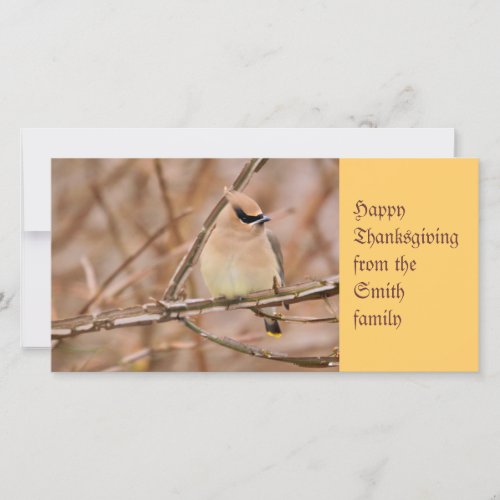 Cedar Waxwing in Autumn Holiday Card