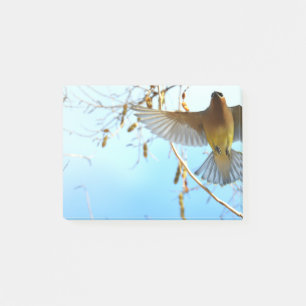 Cedar Waxwing in Flight Post-it Notes