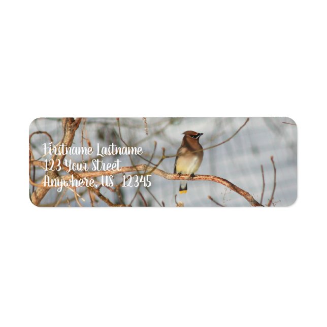 Cedar Waxwing In Winter Animal Address Label (Front)