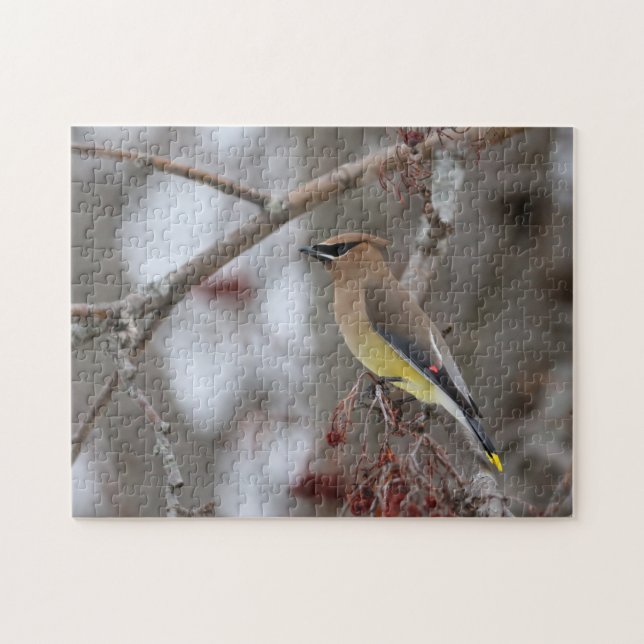 Cedar Waxwing Jigsaw Puzzle (Horizontal)