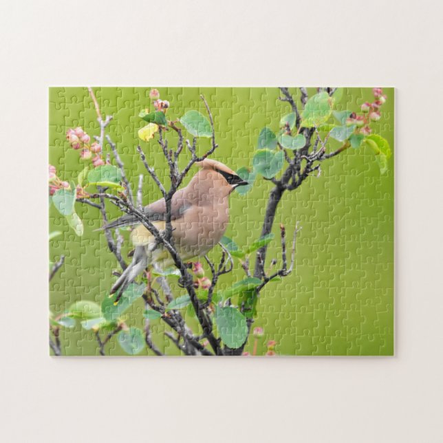 Cedar Waxwing Jigsaw Puzzle (Horizontal)
