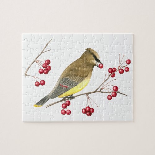 Cedar Waxwing Jigsaw Puzzle