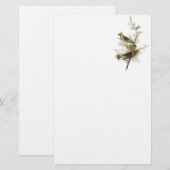 Cedar Waxwing, John Audubon (Front/Back)